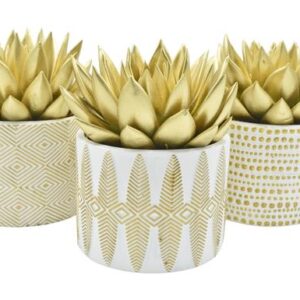 Echeveria Coloured + Glitter in Xmas Gold-White Ceramics - 3 stuks - Ø10,5cm - ↕12cm