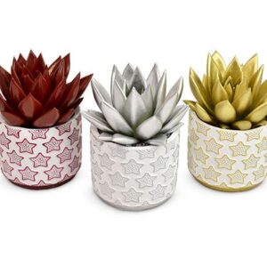 Echeveria Coloured in Xmas White + Stars Cermics - 3 stuks - Ø6cm - ↕10cm