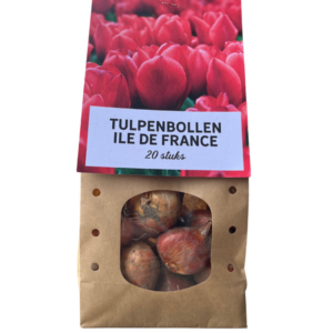 Ile de france - Tulpenbollen 20 stuks