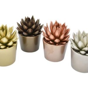 Echeveria Coloured in Lina Xmas Ceramics - 4 stuks - Ø10,5 cm - ↕17 cm
