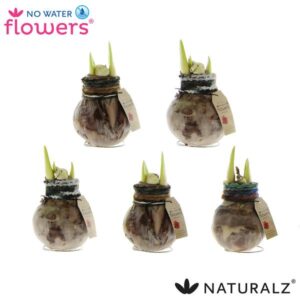 No Water Flowers Naturalz Deco Mix - 3 stuks - Ø7 cm - ↕15 cm