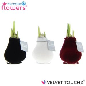 No Water Flowers Velvet Touchz Classic Mix - 3 stuks - Ø7 cm - ↕15 cm