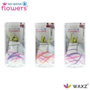 No Water Flowers Waxz Art Karel Appel in Koker - 3 stuks - Ø7 cm - ↕15 cm