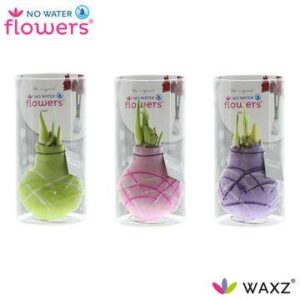 No Water Flowers Waxz Art Monet in Koker - 3 stuks - Ø7 cm - ↕15 cm