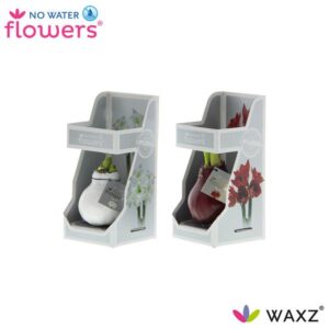 No Water Flowers Waxz Colorz in Gift Box - 2 stuks - Ø7 cm - ↕15 cm