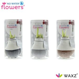 No Water Flowers Waxz Dipz Natural in Koker - 3 stuks - Ø7 cm - ↕15 cm