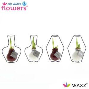 No Water Flowers Waxz Formz Classic Mix - 4 stuks - Ø7 cm - ↕15 cm