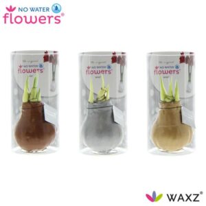 No Water Flowers Waxz Gold/Silver/Copper in Koker - 3 stuks - Ø7 cm - ↕15 cm