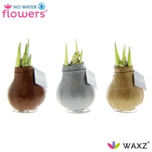 No Water Flowers Waxz Metallic Gold / Silver / Copper - 3 stuks - Ø7 cm - ↕15 cm