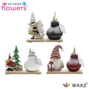 No Water Flowers Winter Wonderland Mix - 3 stuks - Ø7 cm - ↕15 cm