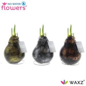 No Water Flowers Antiquez Mix - 3 stuks - Ø7 cm - ↕15 cm
