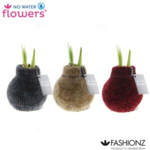 No Water Flowers Fashionz Cozy Teddy - 3 stuks - Ø7 cm - ↕15 cm