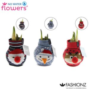 No Water Flowers Fashionz Xmas - 3 stuks - Ø7 cm - ↕15 cm