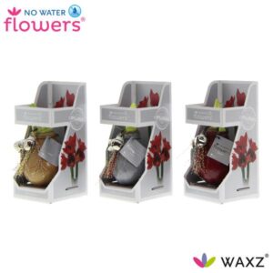 No Water Flowers Jingle Bellz in Gift Box - 3 stuks - Ø7 cm - ↕15 cm