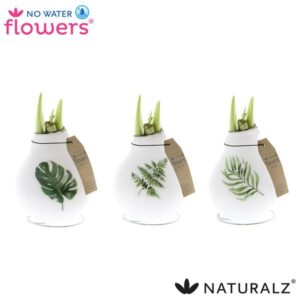 No Water Flowers Naturalz Botanical Mix - 3 stuks - Ø7 cm - ↕15 cm