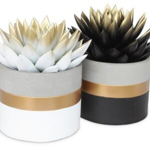 Echeveria Bicoloured in Gold Band Ceramics - 2 stuks - Ø10,5 cm - ↕12 cm