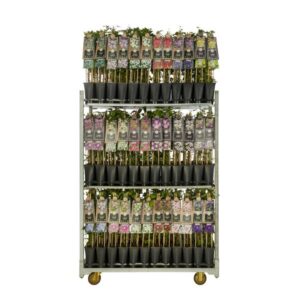 Mix CC Clematis +3.0 Label - Ø17cm - ↕75cm