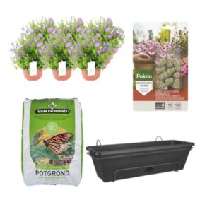 Balkonbak Zwart DIY-set - Campanula