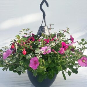 Hangingbasket Pure - Ø25cm - ↕55cm