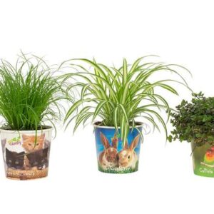 Dieren Mix (Pet Candy) - 3 stuks - Ø12cm - ↕30cm