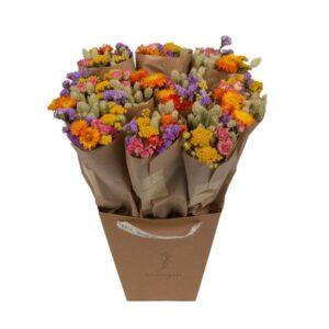 Droogbloemen - Market More - Multi - ↕50cm - 10x