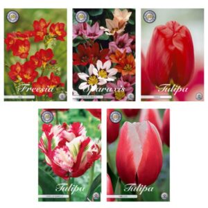 Bloembollen Mix (6) - 5 soorten - 59 bollen