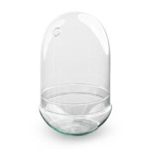 Terrarium fles tweedelig - Egg XL - Ø 17,5 cm ↑ 30 cm