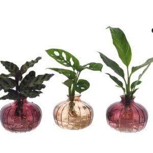 Intenz Mix in Nela 3 kleuren - 3 stuks - Ø7cm - ↕25cm