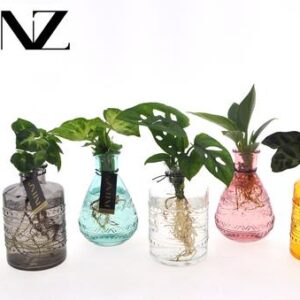 Mix in Salinas Glas - 6 stuks - Ø7cm - ↕10cm