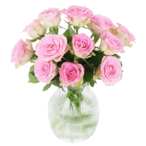Sweet roses - roze rozen in brievenbuspakket