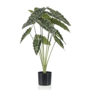 Alocasia 80cm - Kunstplant - Artificial plant