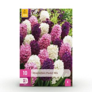 Green boutiQ - Bloembollen - Hyacinth Pastel mix - Diversen Pastel Kleuren - 10 stuks - Bolmaat 14/15 - XXL Pack