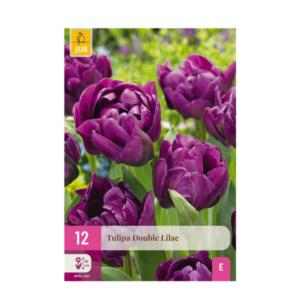 Green boutiQ - Bloembollen - Tulp Double Lilac - Kleur Paars - 50 stuks - Bolmaat 11/12 - XXL Pack