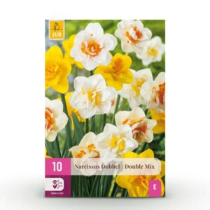 Green boutiQ - Bloembollen - Narcis Double mix - Kleur Geel en Wit - 10 stuks - Bolmaat 12/14 - XXL Pack