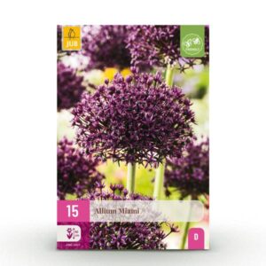 15x Allium Miami - Sierui - Paars - Zomerbloeier - Bolmaat 10/+