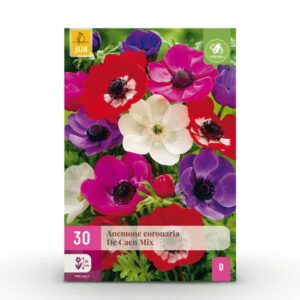 30x Anemone de Caen Mix - Klaproosanemoon de Caen mix - Diversen - Voorjaarsbloeier - Bolmaat 5/6