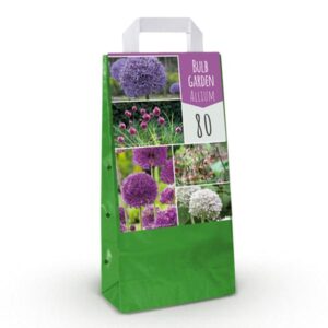 Green boutiQ - Bloembollen - Bulb Garden Allium mix - Diversen Kleuren - 80 stuks - Gift Verpakking