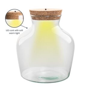 Terrarium fles met verlichting - Little Joe - Ø 20 cm ↑ 22 cm