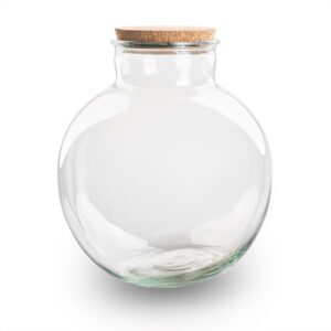 Terrarium fles met kurk - Bolder Bob - Ø 30 cm ↑ 31 cm - Zonder LED-kurk