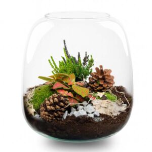 Tinsel Kerstmis terrarium - Planten terrarium - DIY kit Christmas - Ø 19 cm ↑ 20 cm