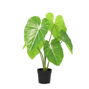 ARTIFICIAL Philodendron - 100cm