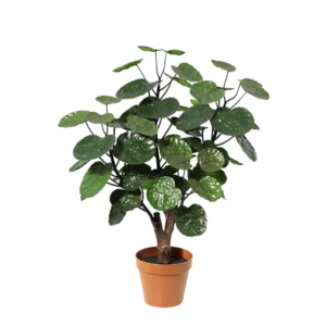 ARTIFICIAL Polysicas Fabian - 55cm
