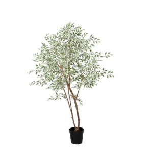 ARTIFICIAL Ficus benjamina variegata - 185cm