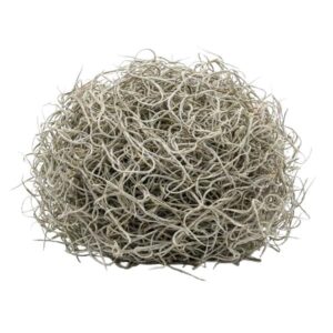 Gedroogd Tillandsia Mos – 1L – Alleen voor decoratief gebruik