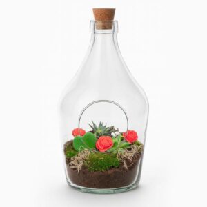 Love in a Bottle - DIY Open Planten terrarium - Ø 16 cm ↑ 30 cm