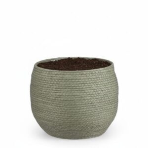 Mand Jorck groen D26