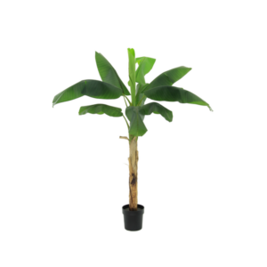 ARTIFICIAL Bananenplant Musa - 180cm