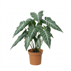 ARTIFICIAL Alocasia polly - 49cm