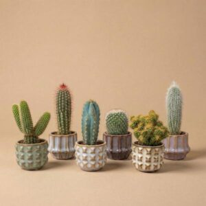 Cactus Set van 6 in Keramische Mini Potjes San Juan - ↑ 8–12 cm