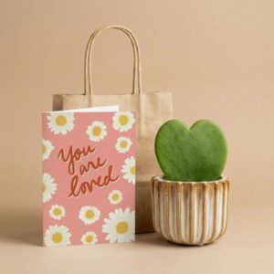 Cadeauset - Love Set - Hartjesplant, pot, wenskaart & geschenktasje